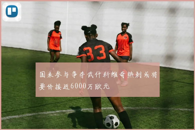 国米参与争夺武什科维奇热刺或将要价接近6000万欧元